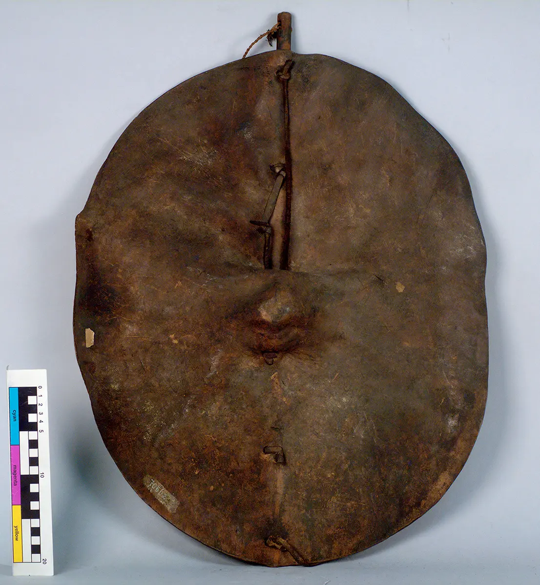 Shield