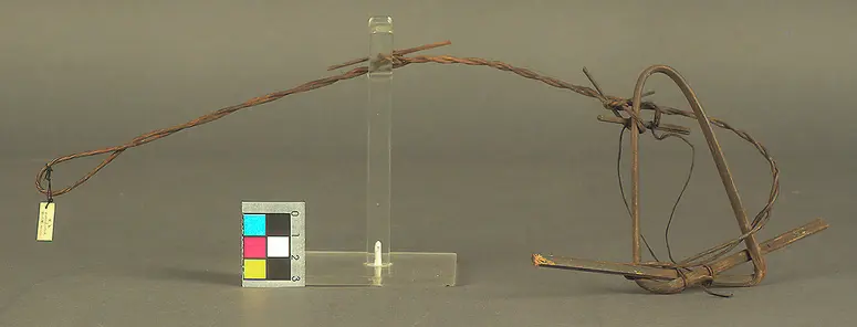 Vogelschlinge