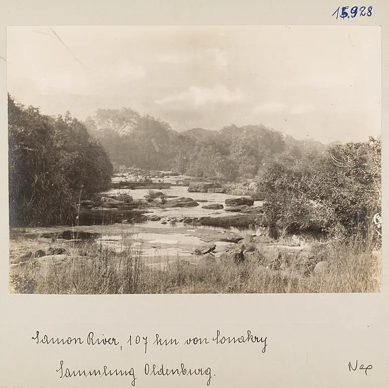 Samou-River (Pandanus-Dickicht), 107 km von Conakry