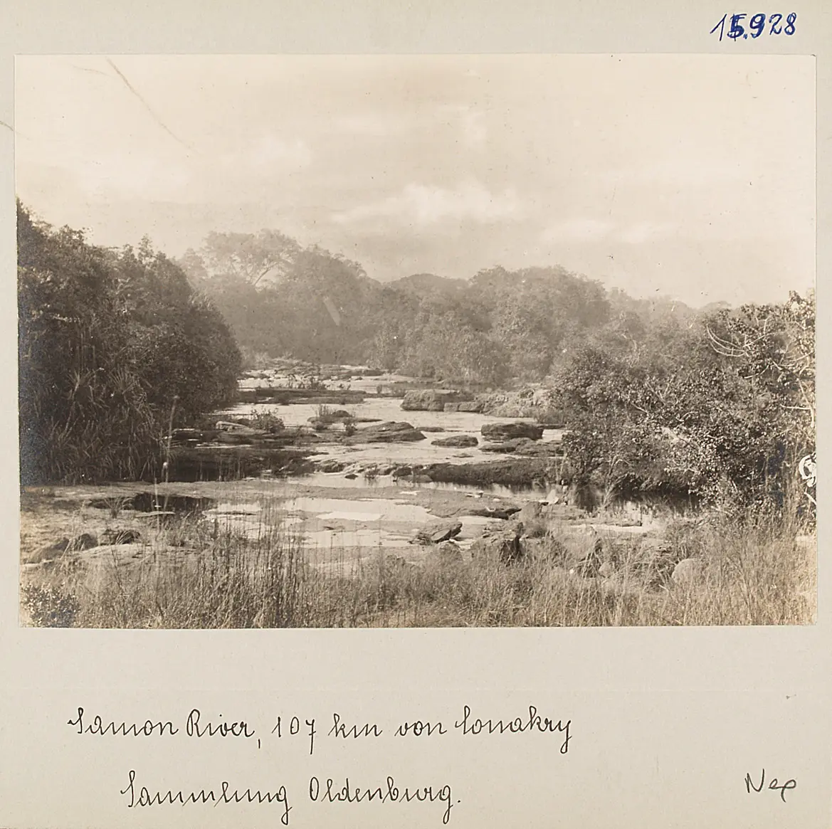 Samou-River (Pandanus-Dickicht), 107 km von Conakry