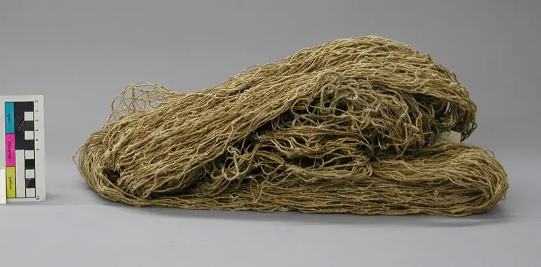 Fischnetz