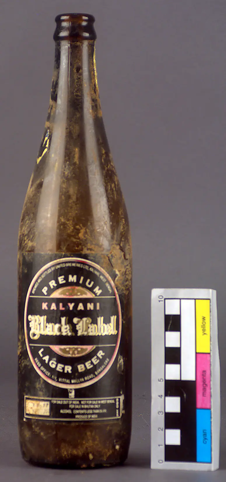Flasche indisches Bier