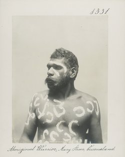 Aboriginal Warrior, Mary River, Queensland