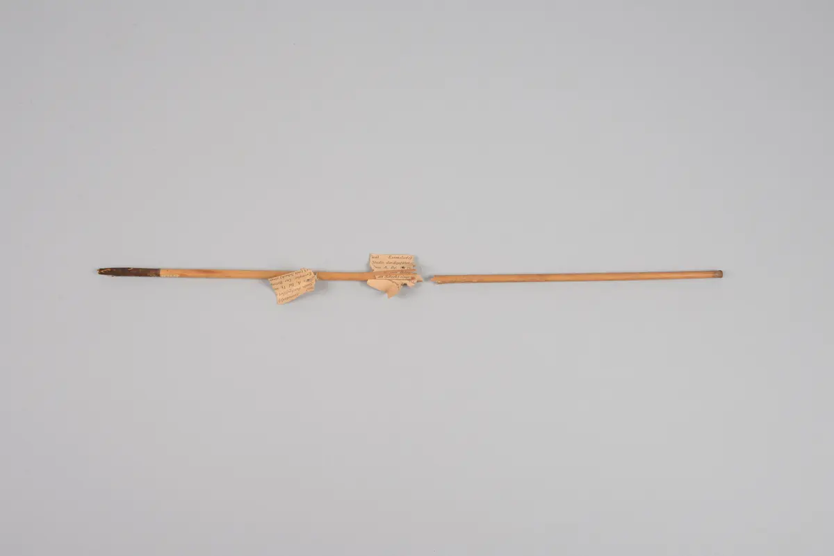 Arrow