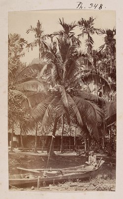 Cochinchine: Paysage