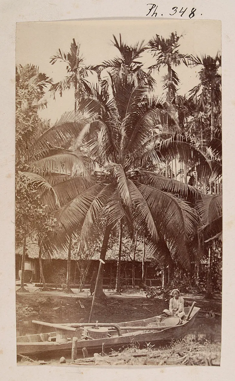 Cochinchine: Paysage