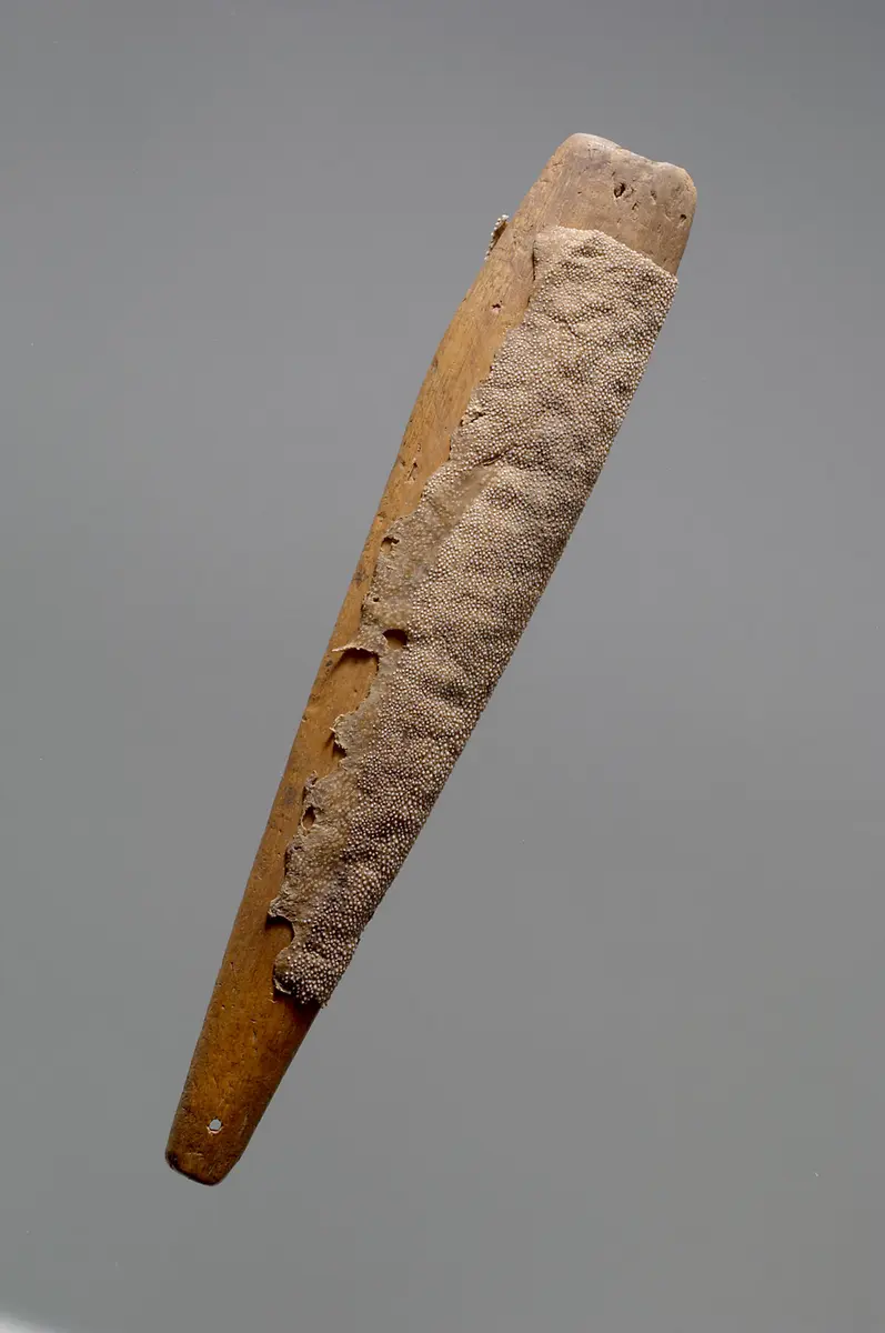 Rasp, file