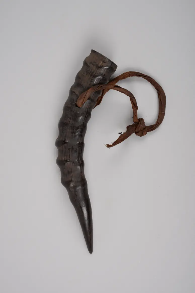 Horn (Medikament)
