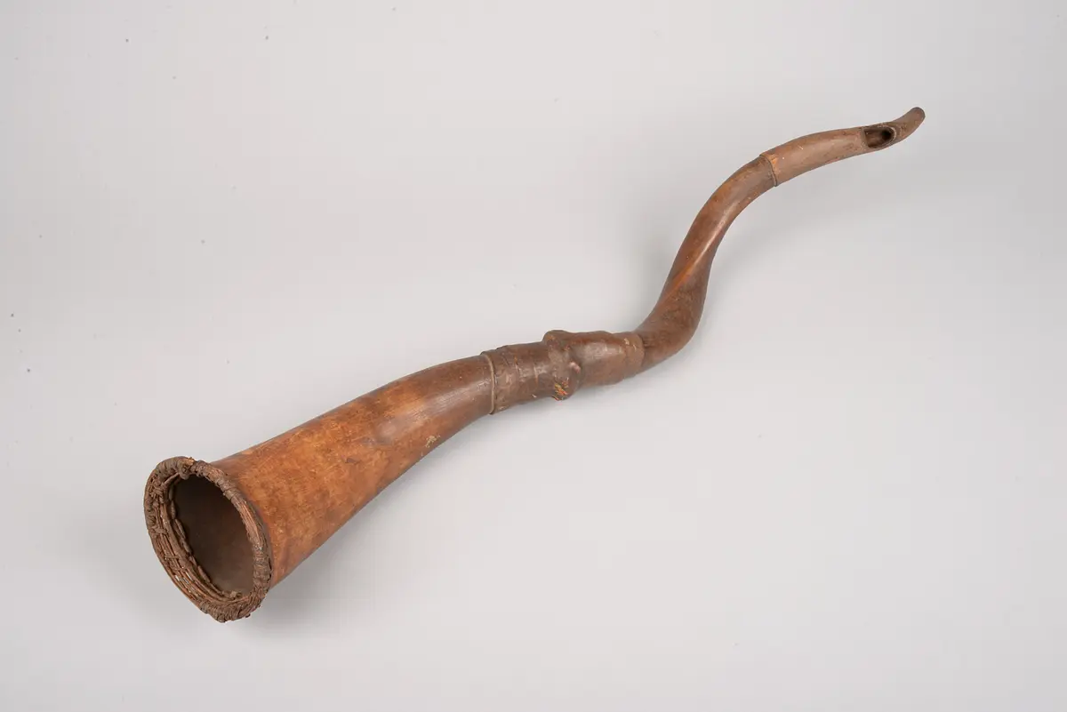 Instrument: Horn