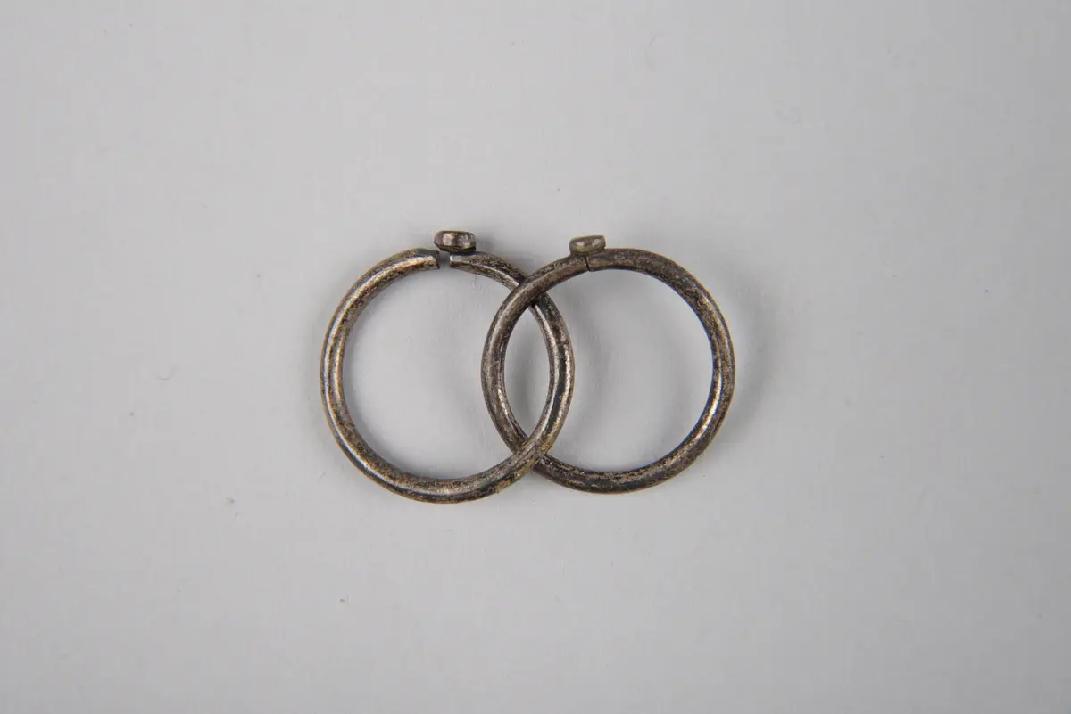 Pair of Ear Ornaments