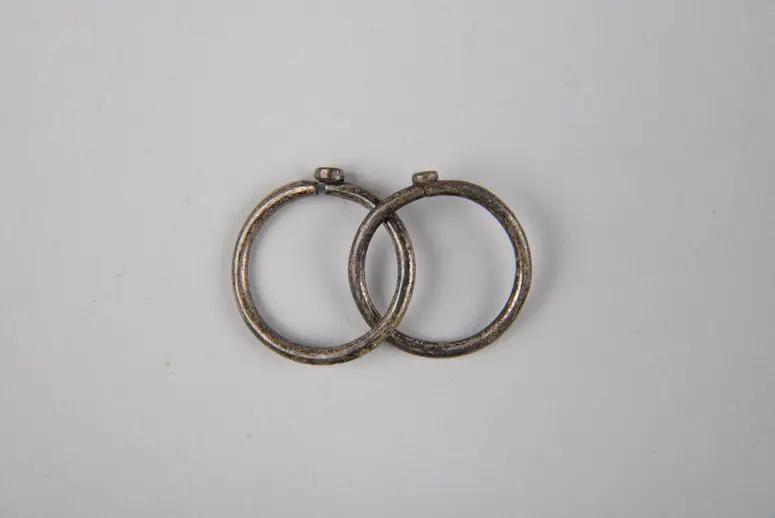 Pair of Ear Ornaments