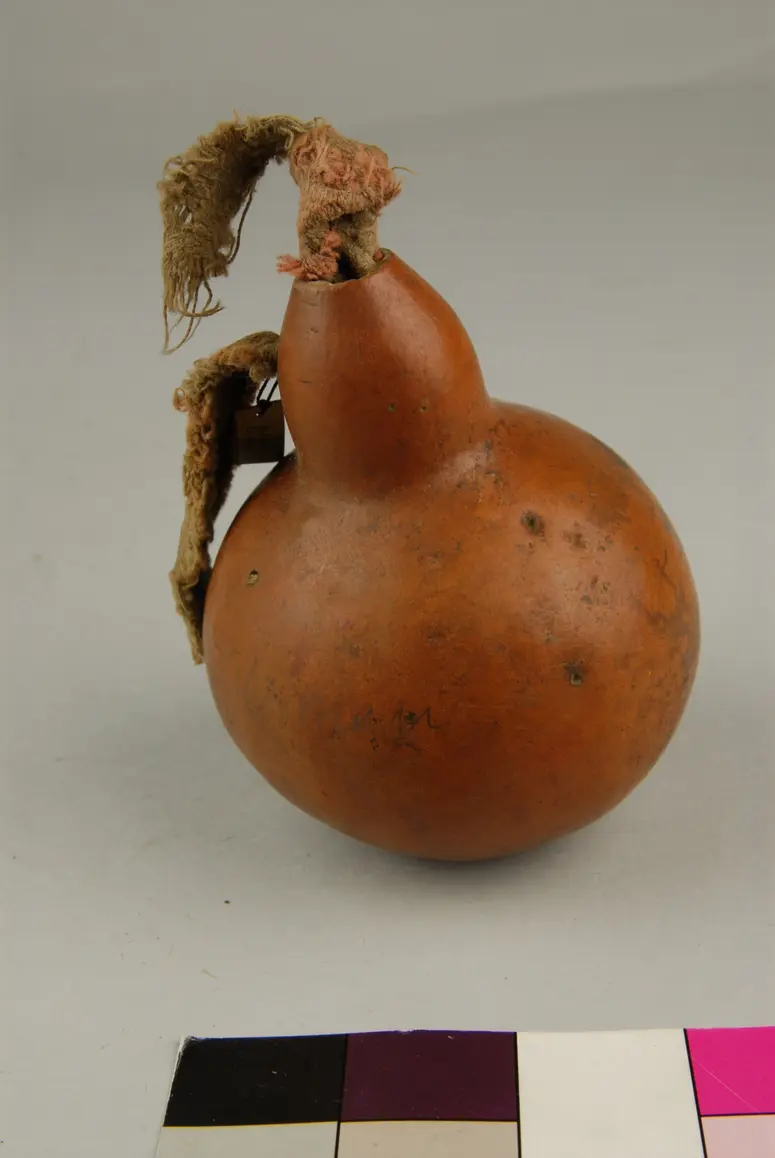 Kürbis