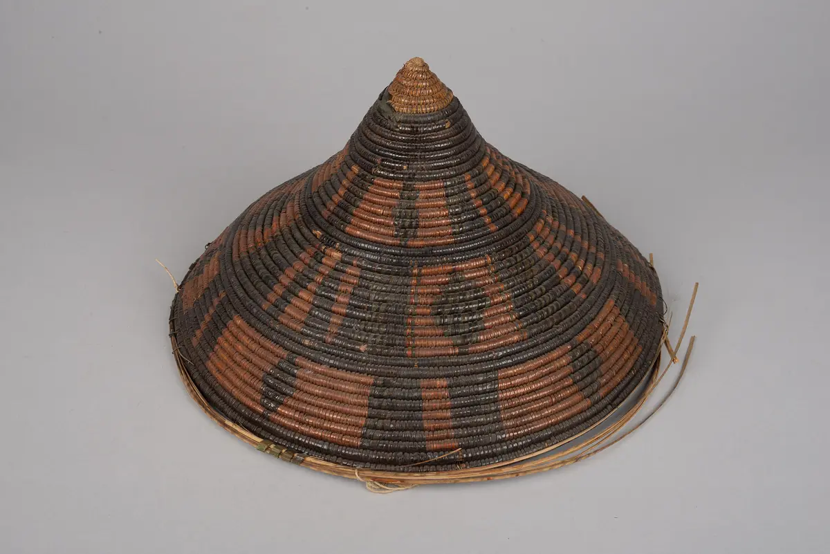 Dish Cover