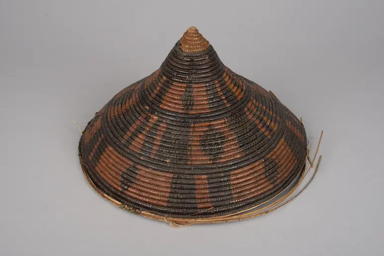 Dish Cover