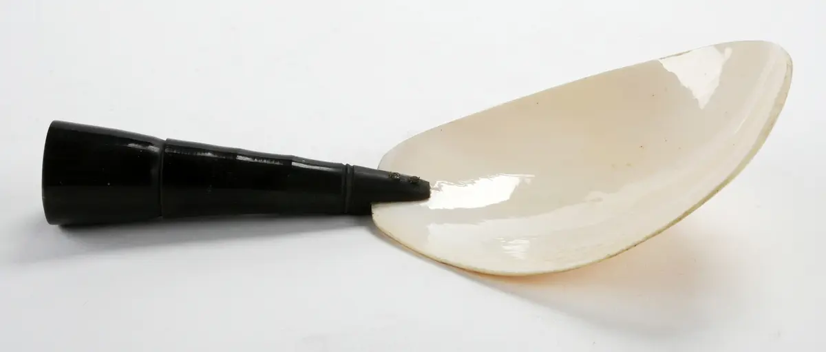 Spoon