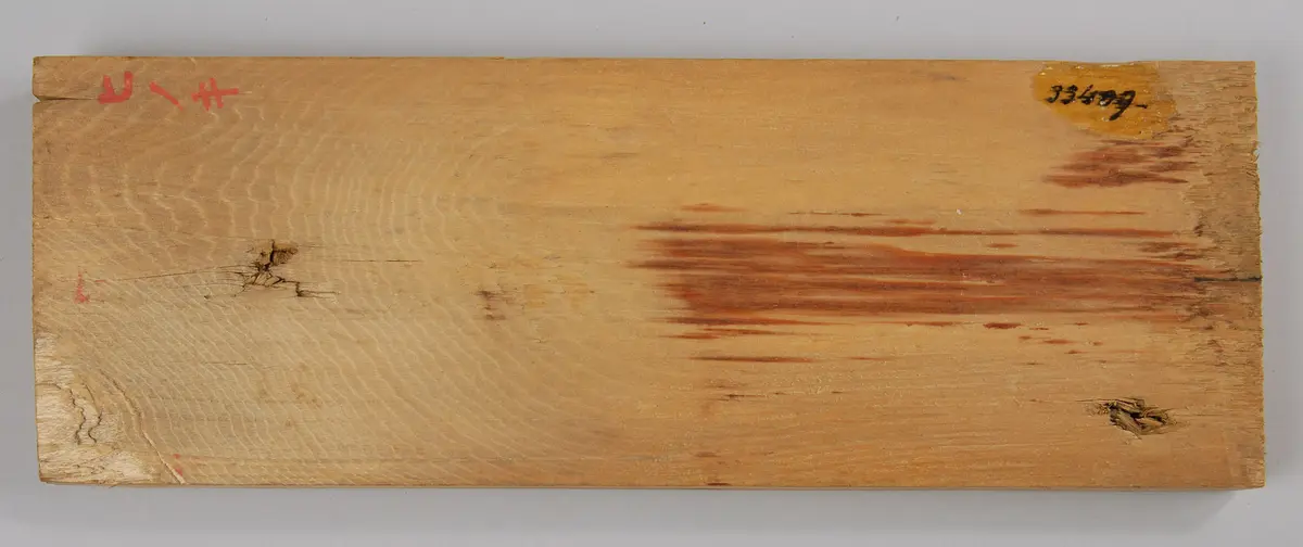 Holzsorte
