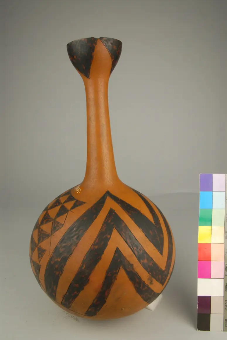 Kürbis