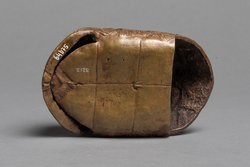 Imitat eines Schildkrötenpanzers