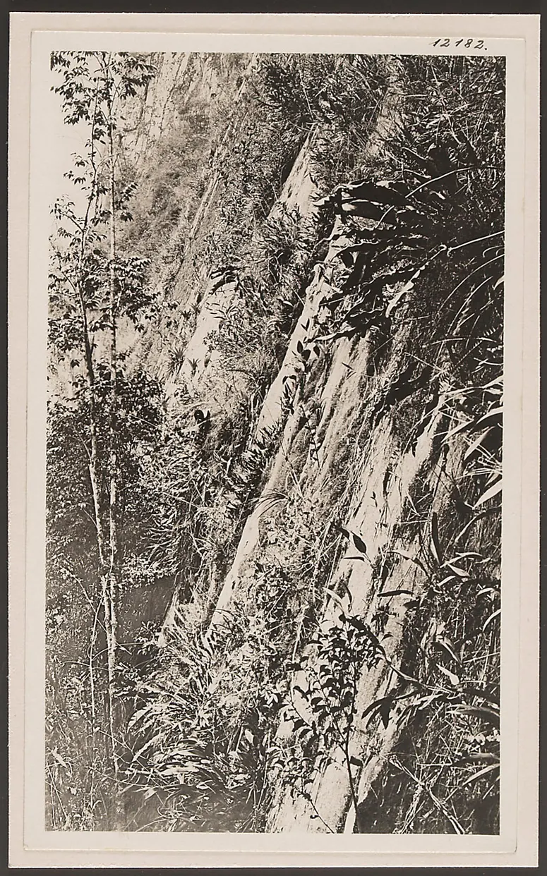 Abzug