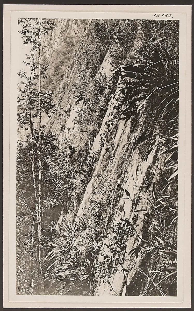Abzug
