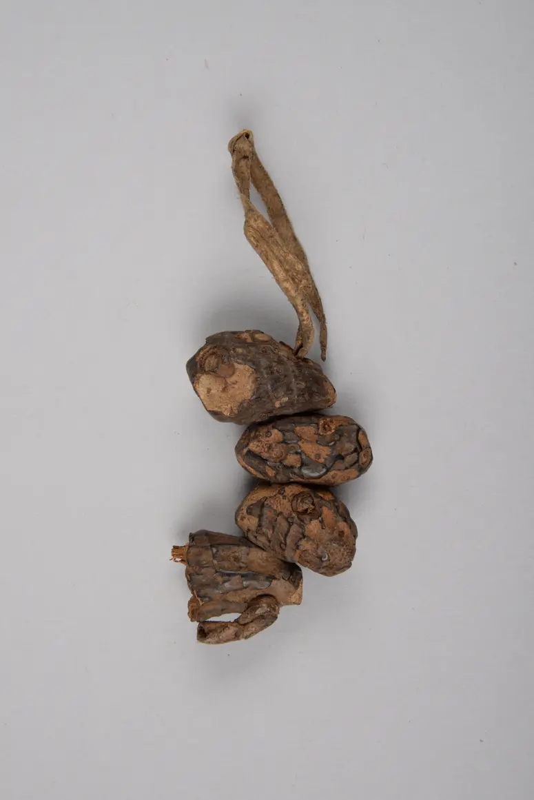 Wurzelknollen (Amulett)