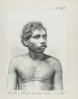 "Micallem", Chief Araluen tribe, N.S.W.