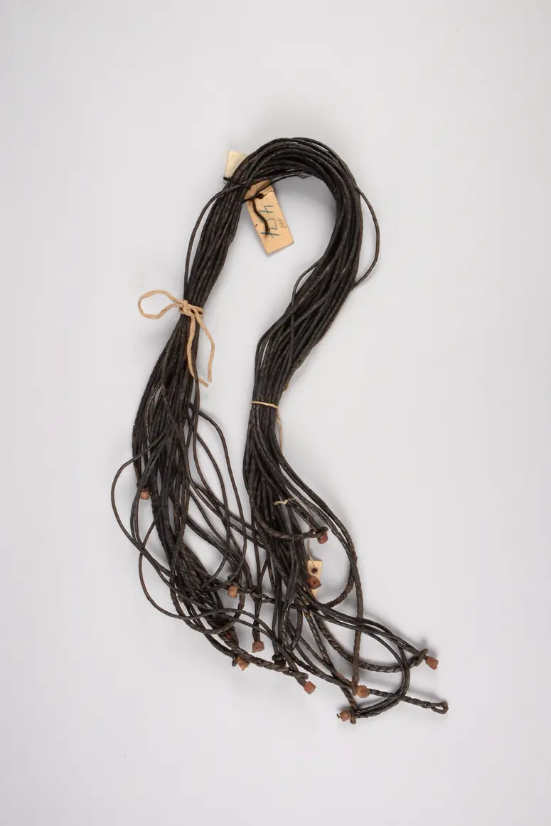 Horse ensemble: Cord