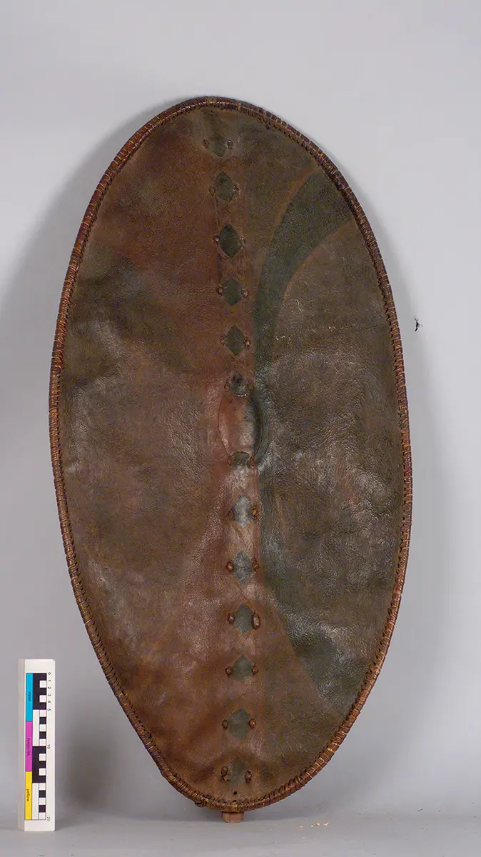 Shield