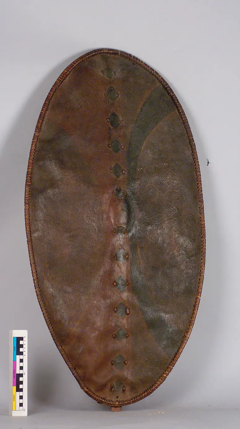 Shield