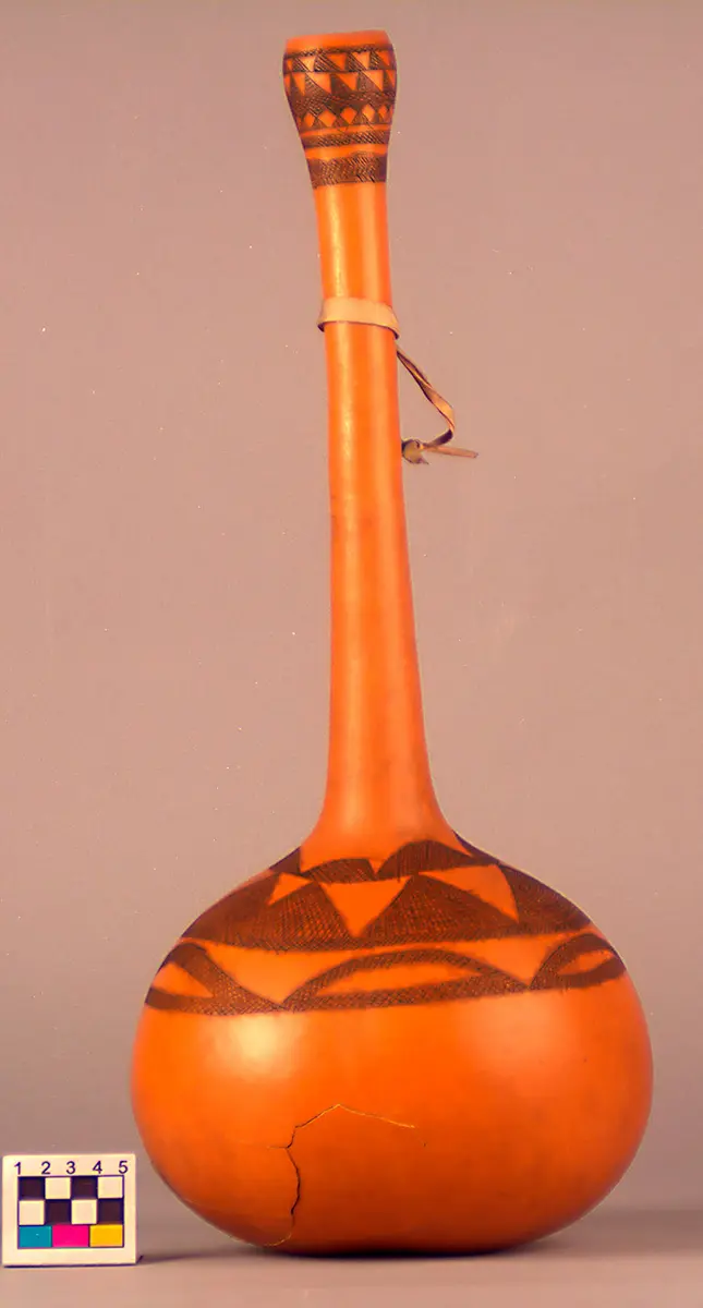 Flaschenkürbis