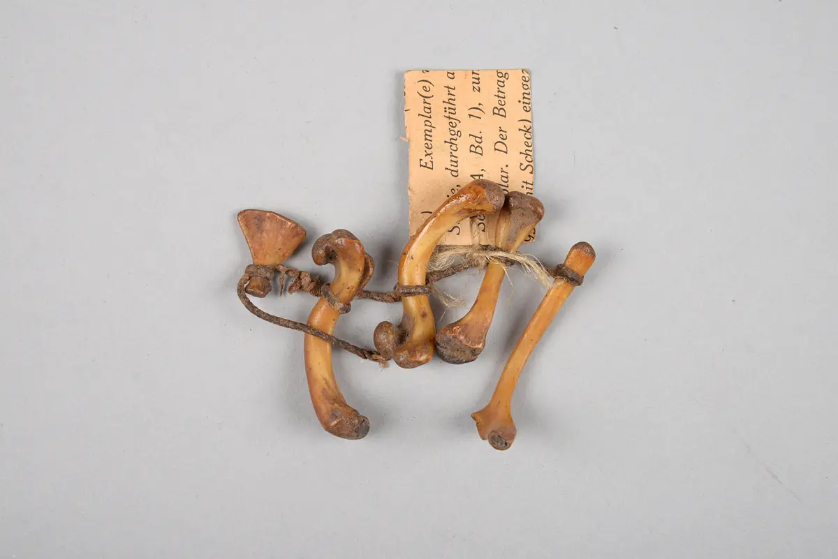 Amulett