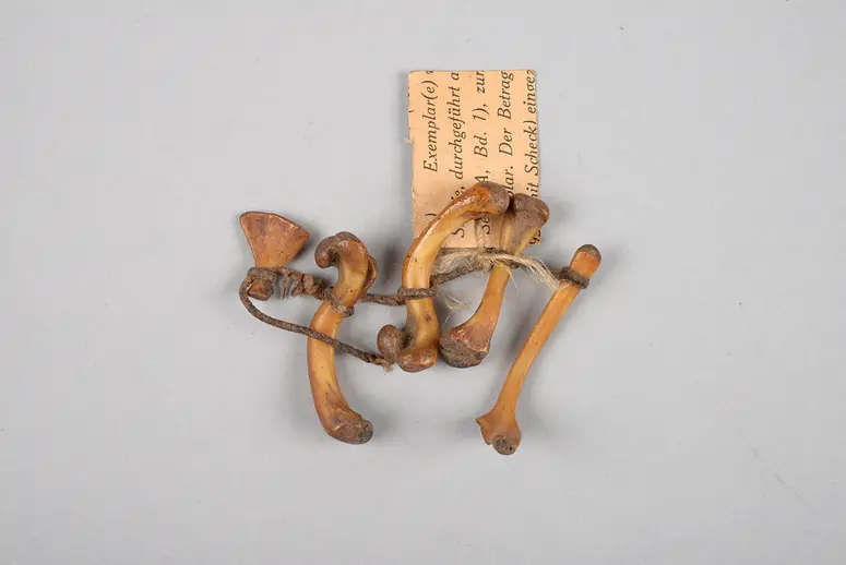 Amulett
