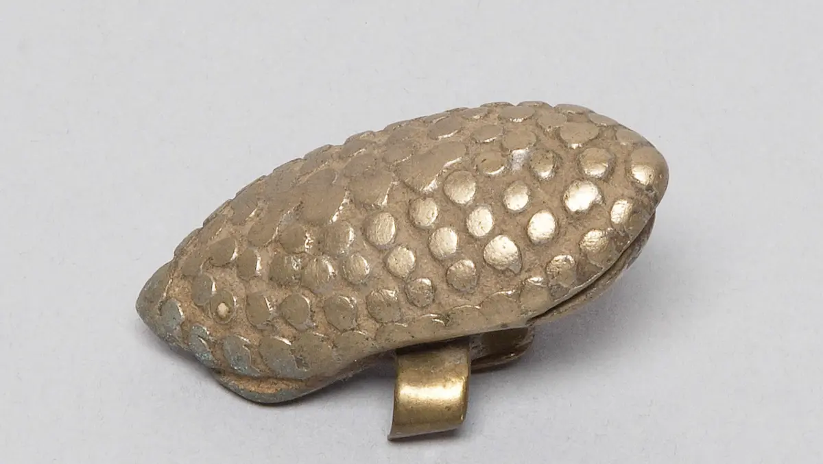 Zehenring