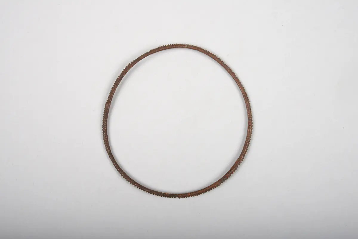Bracelet or Ankle Bracelet