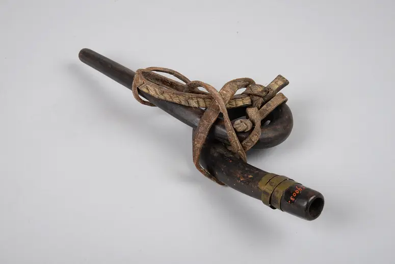 Instrument
