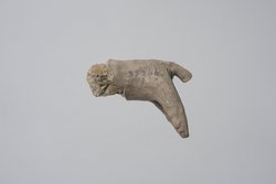 Fragment einer Lehmfigur: Gnu