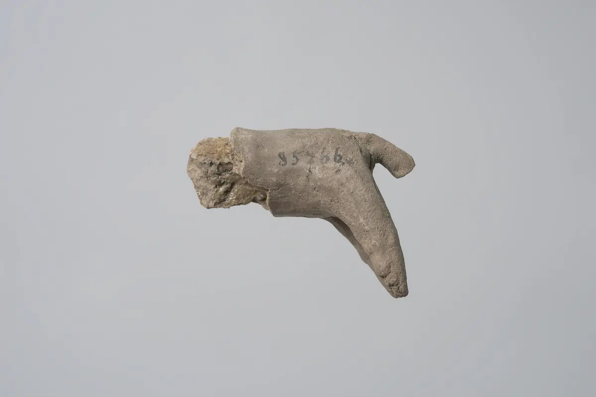 Fragment einer Lehmfigur: Gnu