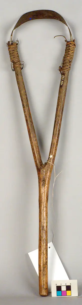 Jätschlinge