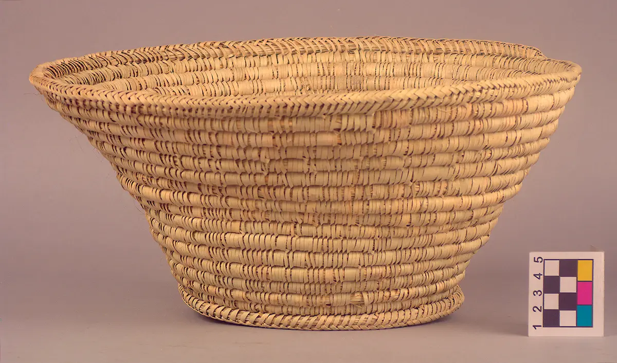 basket