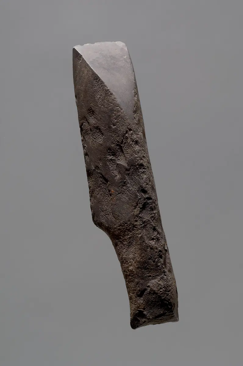 Blade