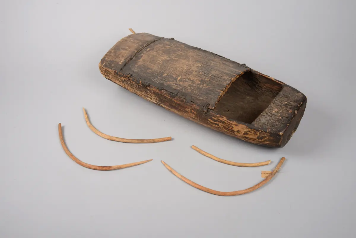 Instrument: Bogenharfe (beschädigt)