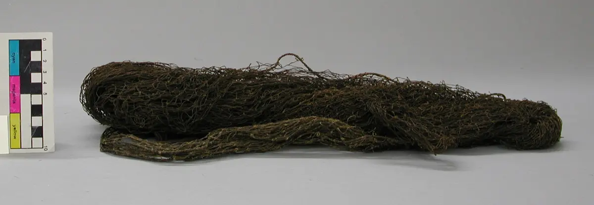 Fischnetz