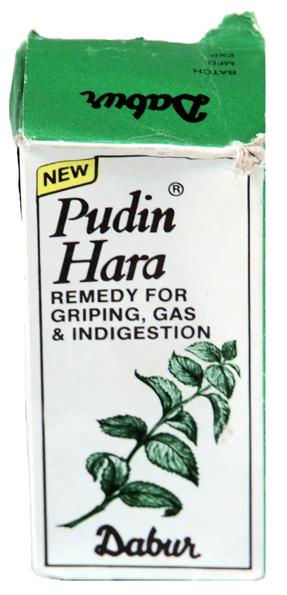 Pudin Hara