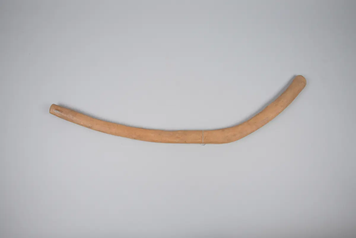 Throwing stick
