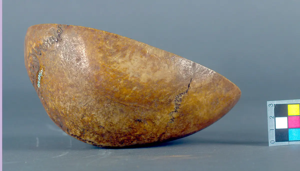 Schädelschale