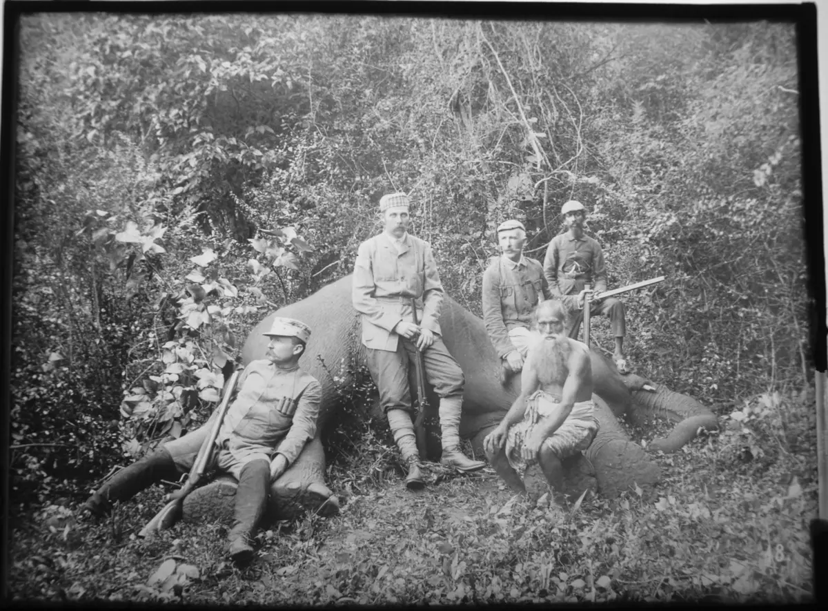 Sr k.u.k. Hoheit mit Mr. Pirie u. Mr. Murray beim erlegten Elephanten