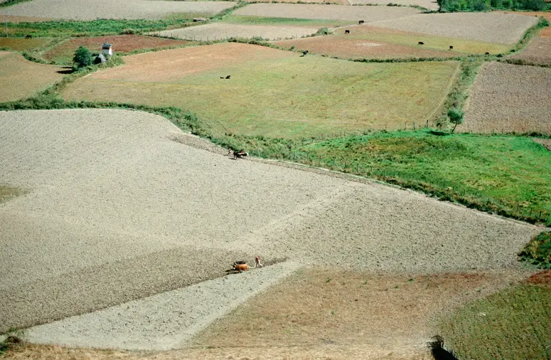 Landwirtschaft