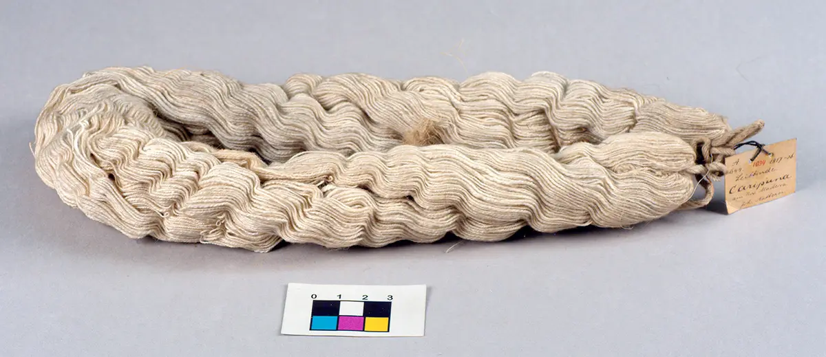 Leibbinde