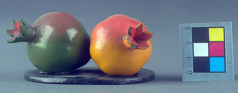 Schellakdarstellung, Frucht