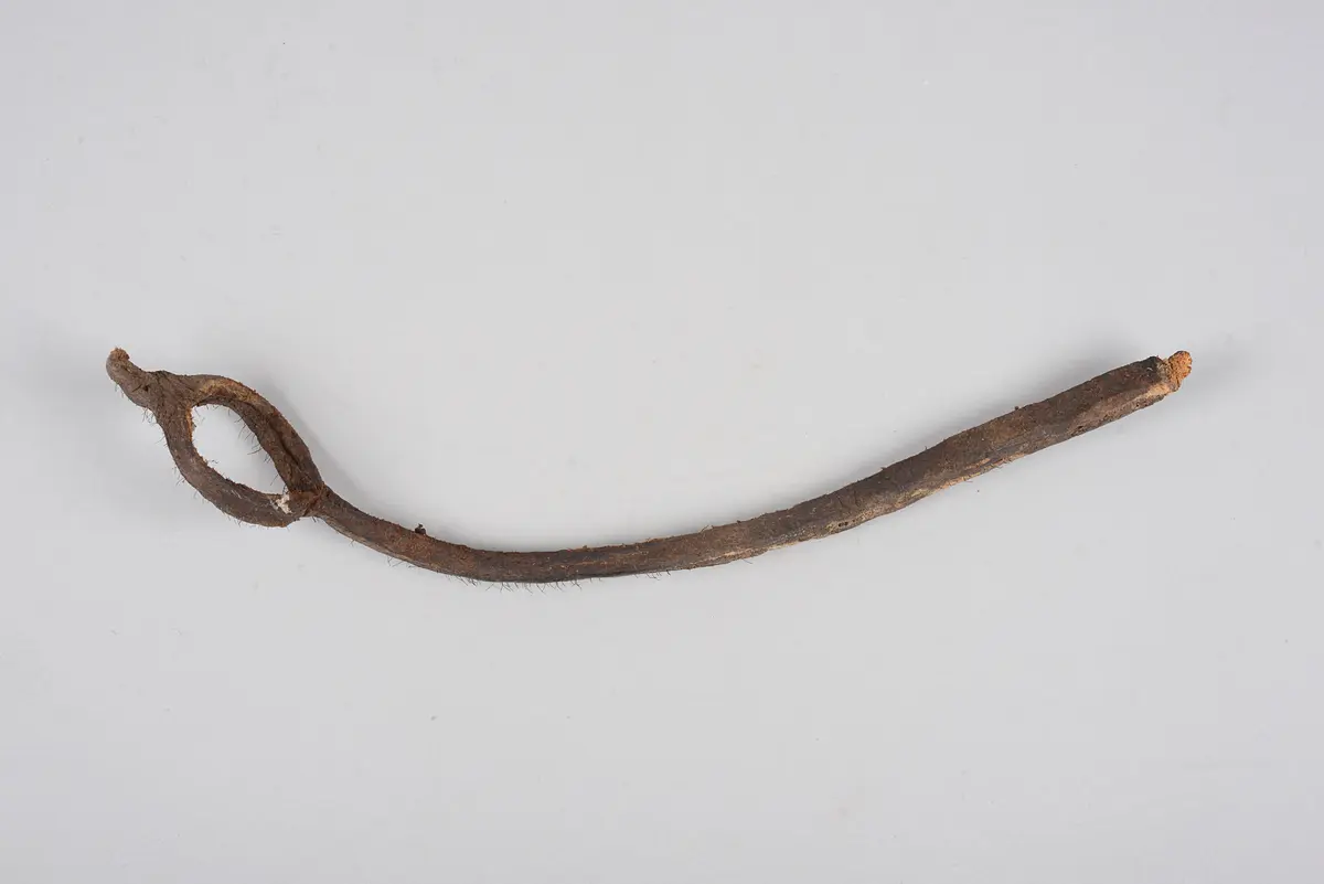 Peitschenfragment
